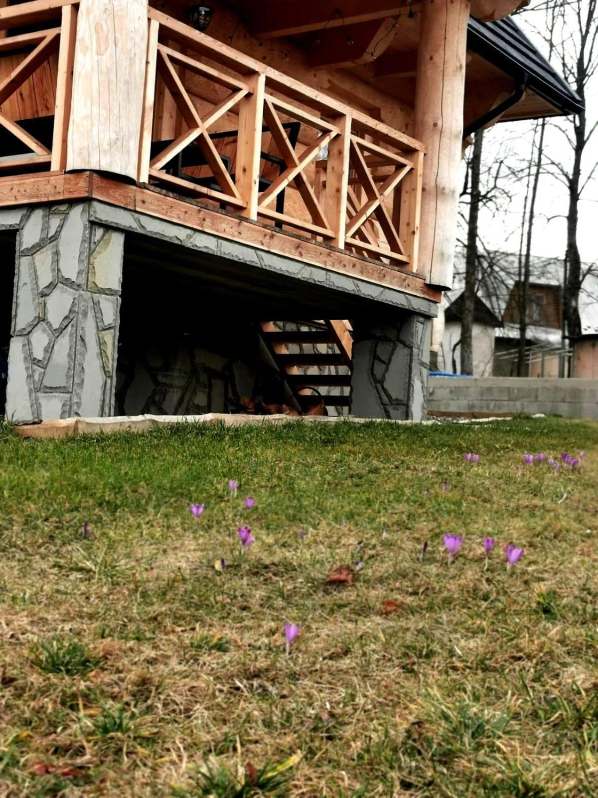 Villa Chalpy Pod Ostryszem Ciche  Exterior foto